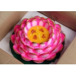 ä�ɸ���ʦ����������ӭ����������