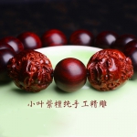 ӡ�ȸ��ܶ�СҶ��̴����������Ů����ľ�ִ�