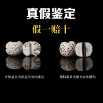 ���������ִ�108�ŷ�������ԭ������˳�׸���������������Ů����