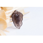 ����ʯ��Ҷ������׹�в���լ