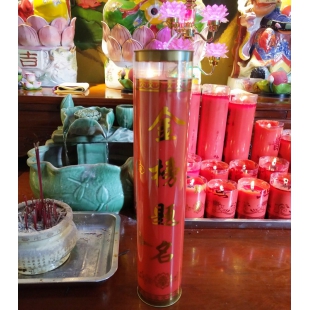 ��Ը��Ը�����������������  ѧҵ�г� ���ֳ�������ǰ;