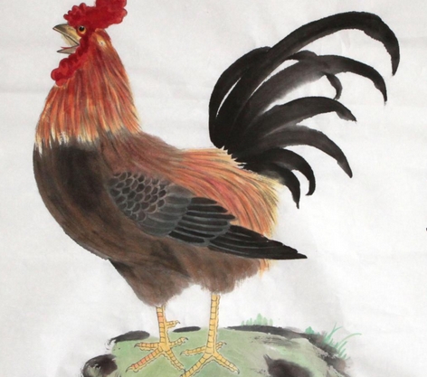 2017����Ф�����˵���������